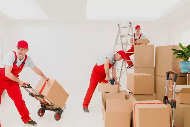 professional movers abu dhabi 2